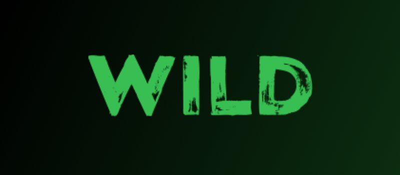 Обзор онлайн-казино Wild